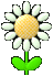 2daisy.gif - 15.96 K