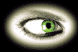greyer.gif - 19.99 K
