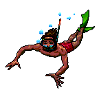 SCUBA2.gif - 8.93 K