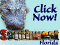 Southwest Florida Business and Services Information