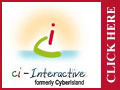 ci-Interactive award winning web site design, hosting and marketing