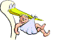zbaby0.gif - 6.12 K